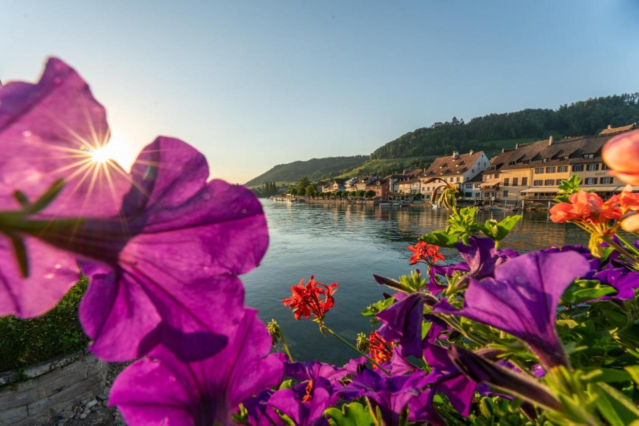 Hotel Rheingerbe Stein Am Rhein Ngoại thất bức ảnh